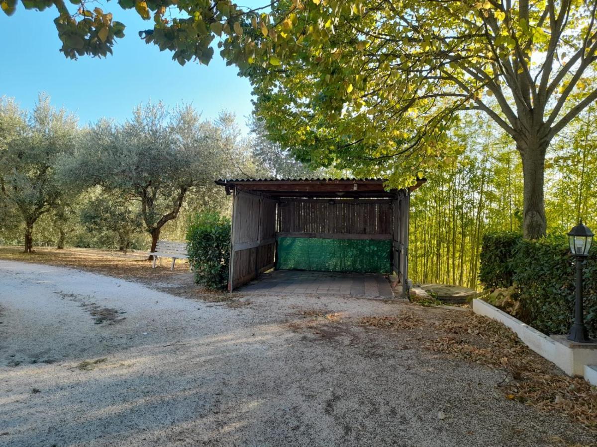 8380 Il Tiglio Verde Manciano Eksteriør billede